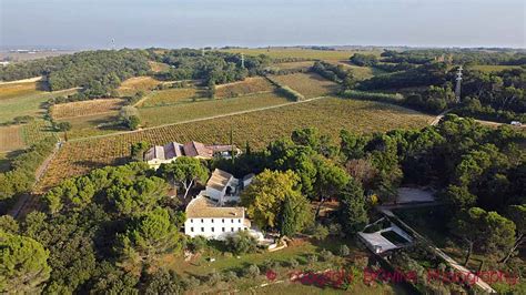 Bernard Duseigneur is the new owner of Château Maucoil in Châteauneuf