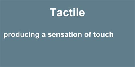 Tactile In A Sentence 39 Real Example Sentences