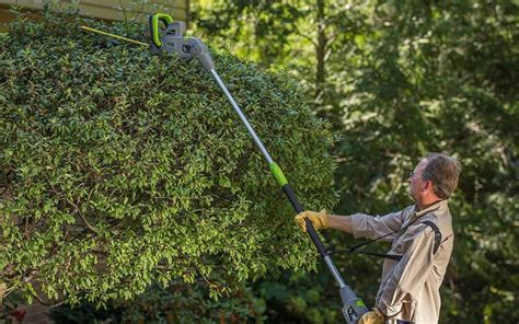 6 Best Telescopic Hedge Trimmers For Shaping Tall Hedges