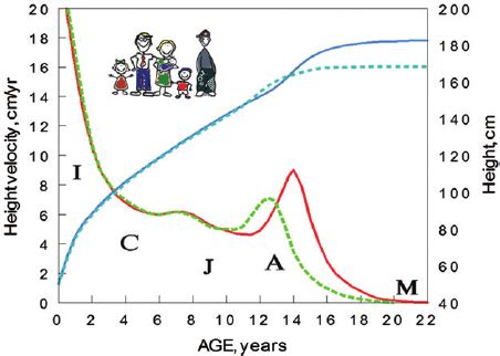 Distance And Velocity Curves Of Growth For Healthy Well Nourished