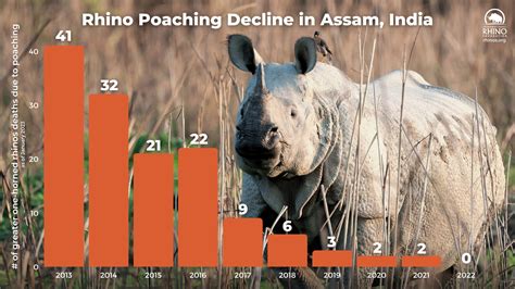 State Of The Rhino Update Kenya And Indias State Of Assam Report Zero