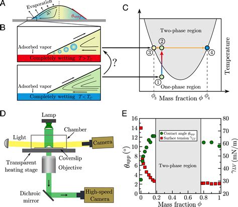 How Liquidliquid Phase Separation Induces Active Spreading Pnas