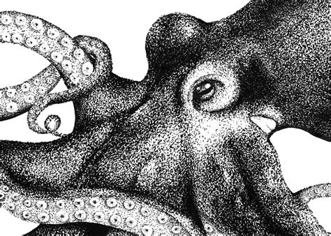 Octopus Dotwork Illustration Print Etsy Uk