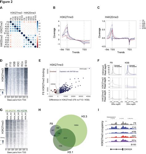 H3h4 Trans Histone Effects In Kmt5b Deficient Dipg Cells A