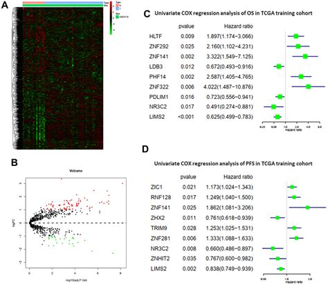 Development And Validation Of Novel Prognostic Models For Zinc Finger