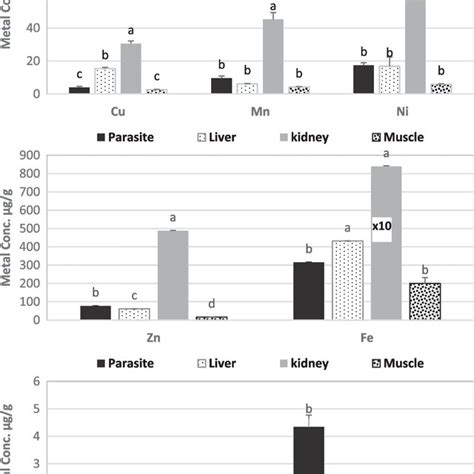 Mean Metal Concentrations µg G Dry Weight ± Standard Error In Tissues Download Scientific