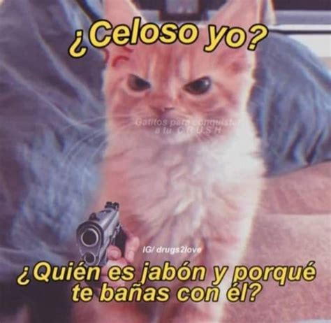 Pin de Giselle Gomz en Frases Memes divertidos Memes románticos