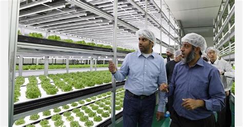 Korean Agtech To Export Container Farm For Pilot Project In Oman