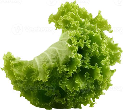 Lettuce Transparent Background 46438293 Png