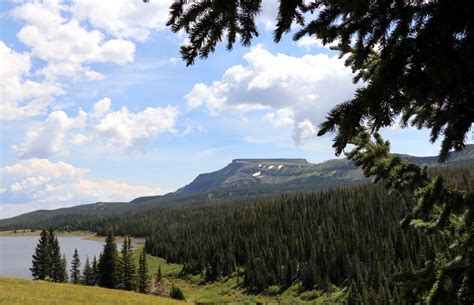 Routt County and Routt National Forest Trail and Access Update