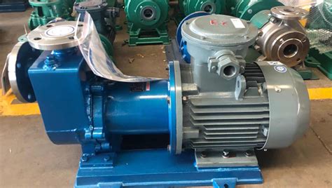 Zcq Stainless Steel Magnetic Self Priming Pump