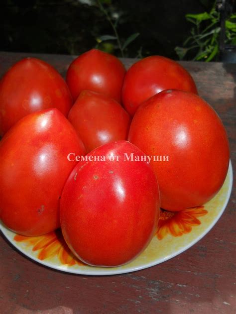 томат Лорд | Vegetables, Tomato, Food