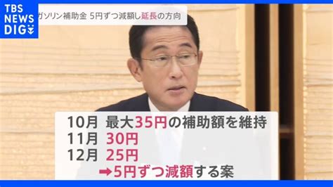 政府 ガソリン補助金延長へ 11月以降は5円ずつ補助額減らす方針｜tbs News Dig │ 【気ままに】ニュース速報