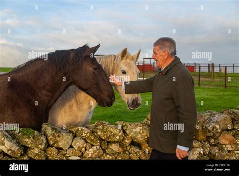 Old Farmer With His Horses Stock Photo Alamy