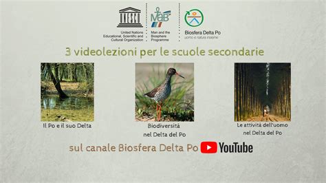 La Riserva Della Biosfera Delta Del Po Pubblica Tre Videolezioni Sui