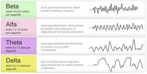 Psicolog A Fisiol Gica Fases Del Sue O