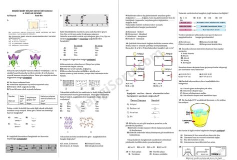6 Sınıf Fen Bilimleri Deneme Sınavı PDF İndir 2025 HangiSoru