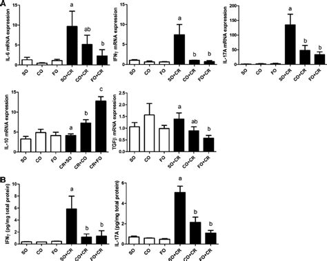 Relative Expression Of Il Ifn Il A Il And Tgf Mrna