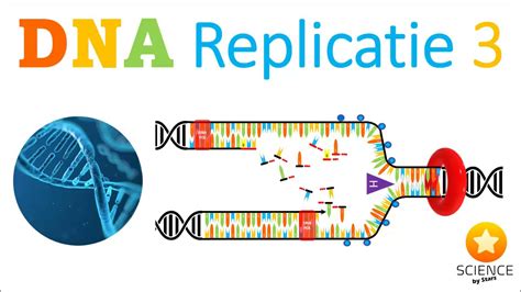 DNA REPLICATIE 3 Betrokken Enzymen Helicase Primase DNA Polymerase