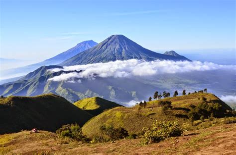 gunung  jawa perumperindocoid
