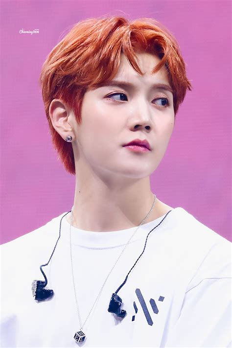 Ren Nuest 191115