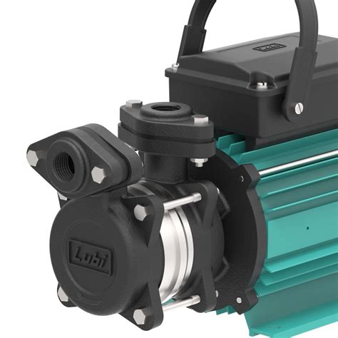 Lubi Pumps Self Priming Monoblock Pumps Mdh Mdl Series