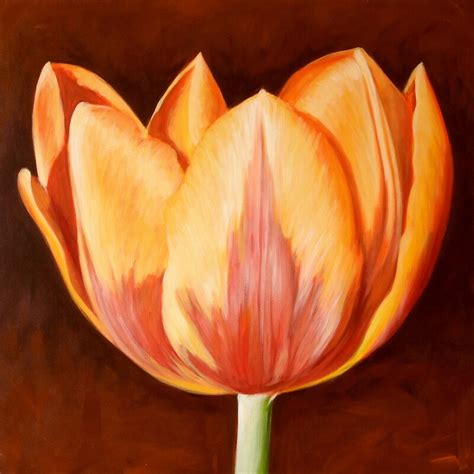 Tulip By Klaus Boekhoff Redbubble