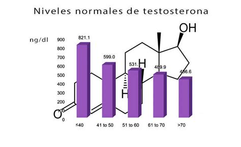 Testosterona alta y baja qué es niveles función en mujeres y hombres