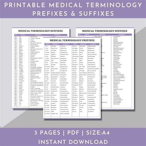 Medical Prefix And Suffix List