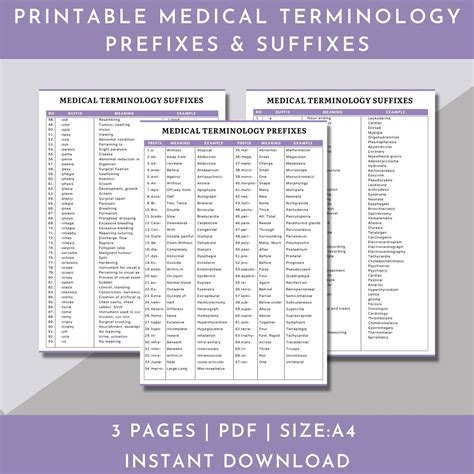 List Of Basic Medical Terminology