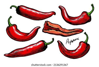 Red Pepper Chilli Vector Set Hot Stock Vector Royalty Free 2237149721 Shutterstock