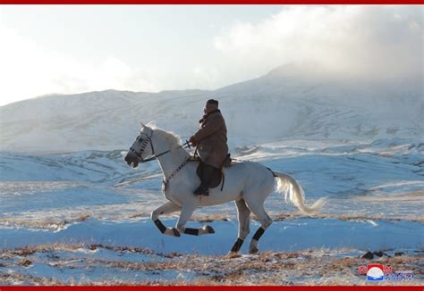 Kim Jong Un rides horse up sacred North Korean mountain, state media ...