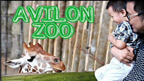 Avilon Zoo Trip To Avilon Zoo 2019 Youtube