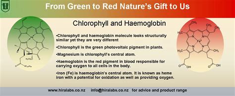 H Chlorophyll To Haemoglobin Hira Laboratories