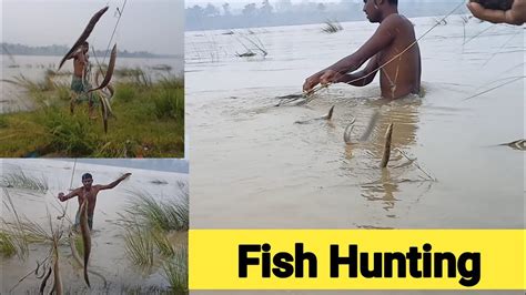 Fishing Video Catching Fish Fish Hunting 🐠 मछली पकड़ने का एक ओर