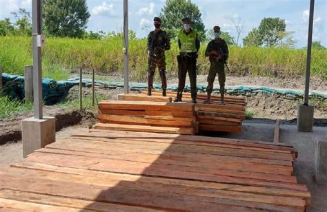 Fuerza Pública Captura En El Meta Un Sujeto Por Aprovechamiento Ilícito De Recursos Naturales