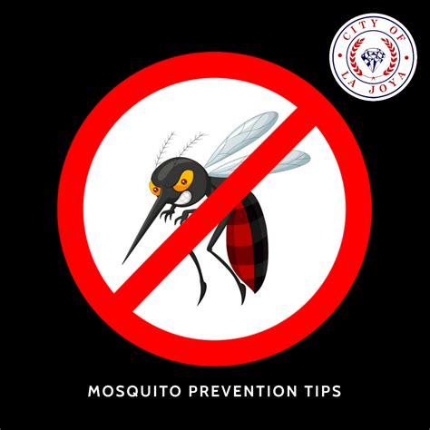 Mosquito Prevention Tips City Of La Joya