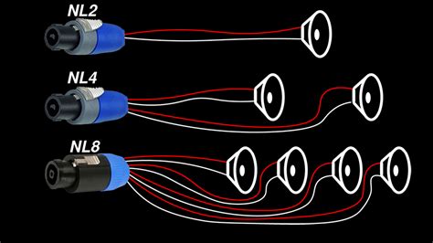 NL2 Vs NL4 Vs NL8 Neutrik SpeakON Speaker Cable Connectors Audio