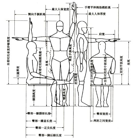 人体工程学之建筑设计常用尺寸汇总活动 人体工程学是室内设计中必不可少的一门专业知识，了解人体工程学可以使装修设计尺寸更符合人们的日常行为