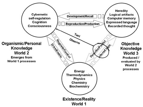 Karl Poppers Three Worlds Ontology After Hall 2003 Download