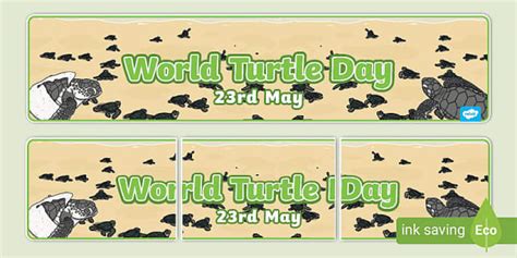 World Turtle Day Banner І Living Things І Ocean Animals