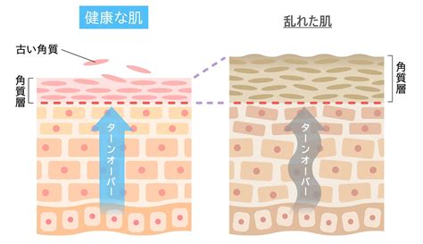 高濃度エクソソーム点滴の効果解説！費用やデメリットも一緒に 表参道メディカルクリニック