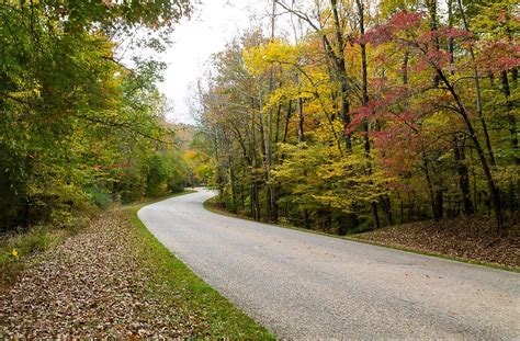 Colonial Parkway in Fall | The Colonial Parkway in fall. | Flickr