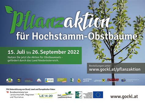 Pflanzaktion F R Hochstamm Obstb Ume Stadtgemeinde Wieselburg