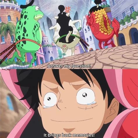 Pin by Sarah on One Piece | Manga anime one piece, One piece anime, One ...