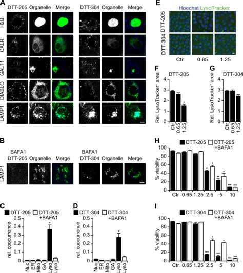 Oncolysis With DTT 205 And DTT 304 Generates Immunological Memory In