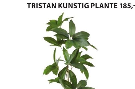 Tristan Kunstig Plante Tilbud Hos Jysk