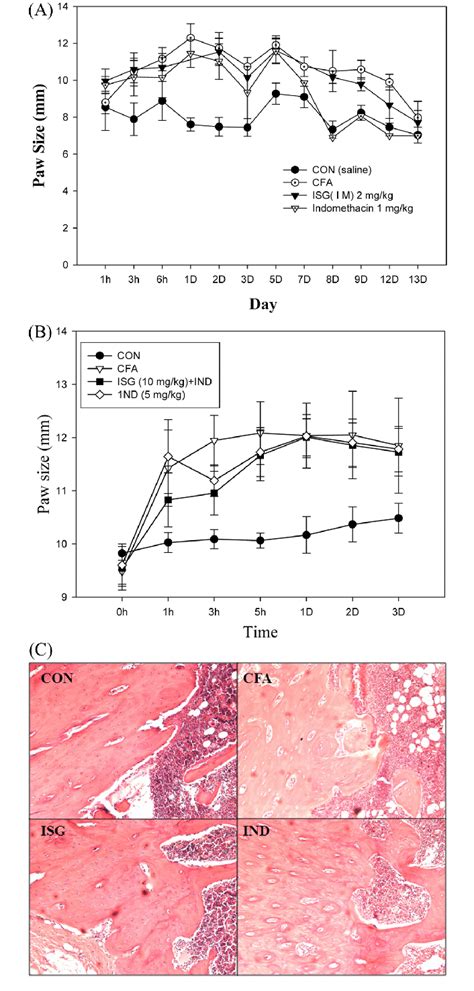 Anti Inflammatory Evaluation Of Is Gag On Cfa Paw Edema Rat Model A