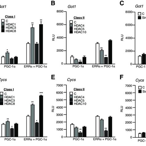 A Deacetylase Screen Identifies HDAC8 And Sirt1 As Activators Of ERR