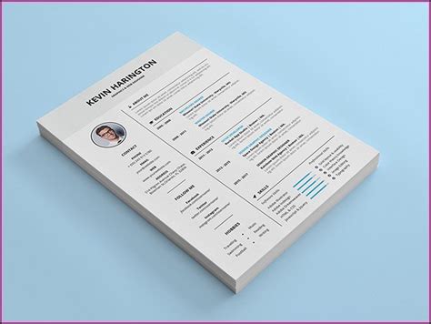 Elegant Resume Template Microsoft Word Free - Resume : Resume Examples ...